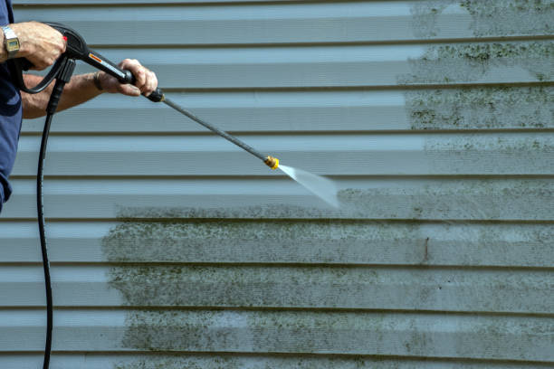 Reliable Palm Harbor, FL Pressure Washing Solutions