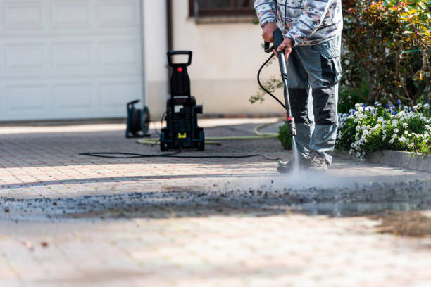 Best Power Washing Near Me  in Palm Harbor, FL