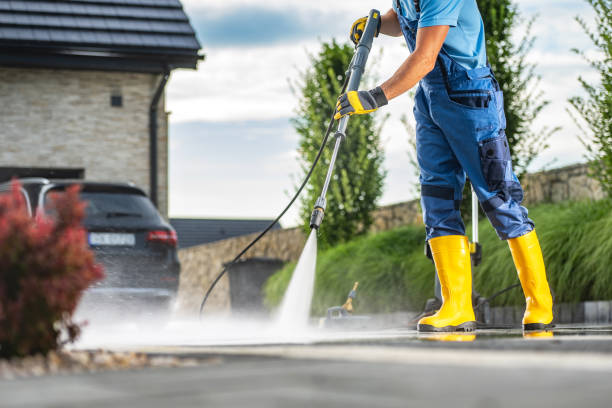 Best Sidewalk Pressure Washing  in Palm Harbor, FL